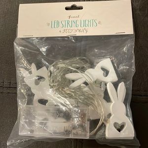 Bunny LED string lights NWT💓🐰